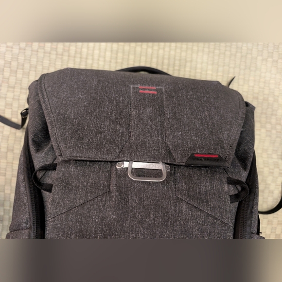 Peak Design Everyday Backpack 30L Gray w/ Three Dividers - Picture 4 of 15